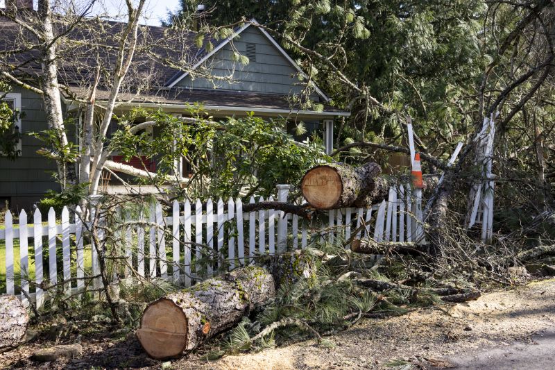 Tree Cutting Near a House