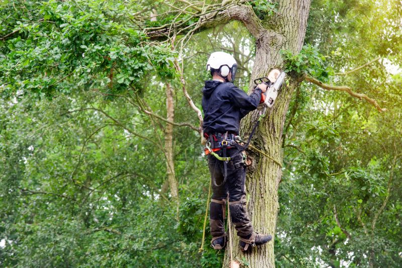 Tree Inspection and Pruning